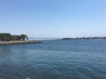 IMG_0558[1]