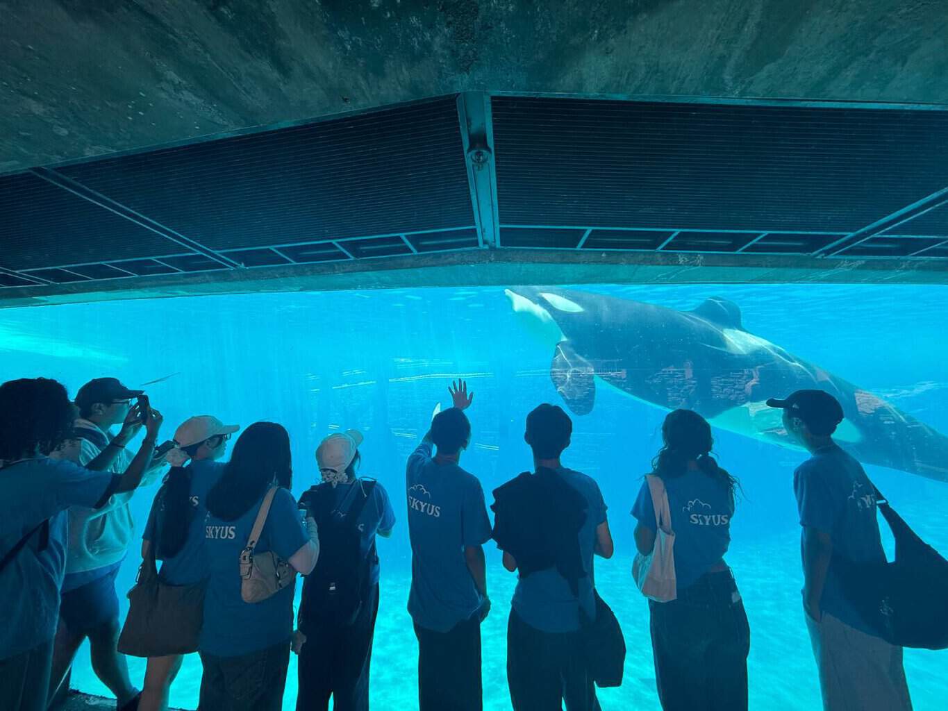 Sea World San Diegoのエントランス前に集まる参加者たち